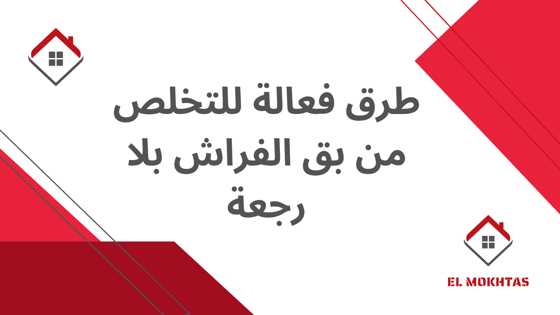 طرق فعالة للتخلص من بق الفراش بلا رجعة