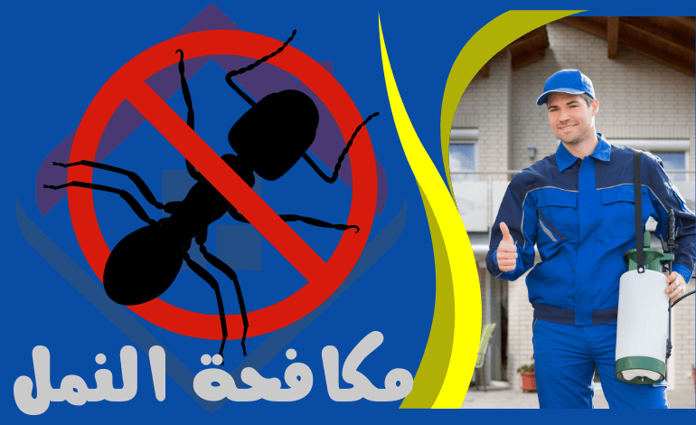 خدمة مكافحة النمل - مكافحة الحشرات