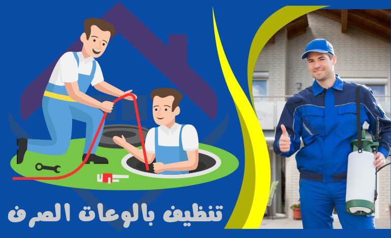 تنظيف بالوعات الصرف الصحي - مكافحة الحشرات